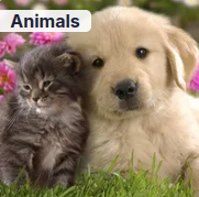 ANIMALS.