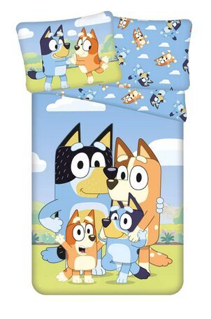 Gultas veļas komplekts(lielais).