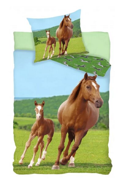 Gultas veļas komplekts(lielais).